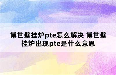 博世壁挂炉pte怎么解决 博世壁挂炉出现pte是什么意思